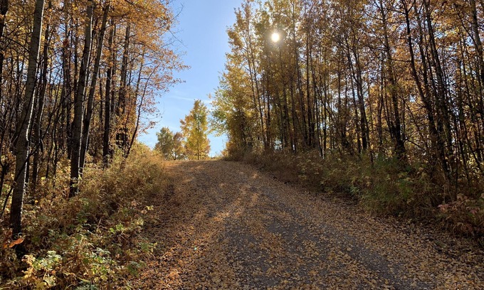 Markerville Ski Chalet | Modern family-sized chalet at private lake
