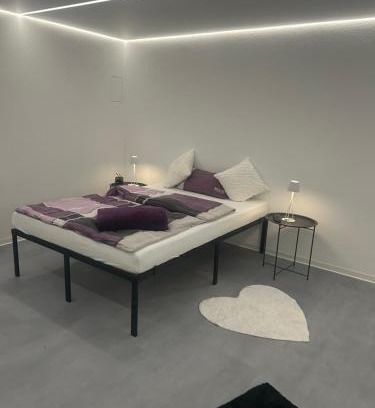 Bad Rappenau Apartment | Modernes Einzimmerappartement mit Frühstück