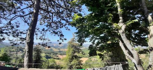 Urbino Apartment | Monolocale Lady