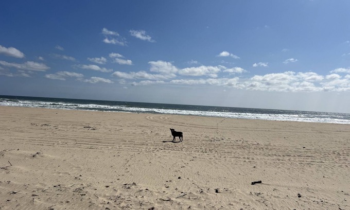 Montauk House | Montauk Cozy Beach Studio. Walk to private ocean beach & always pet friendly!