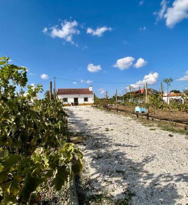 Vila Vicosa House | Monte da Rochela