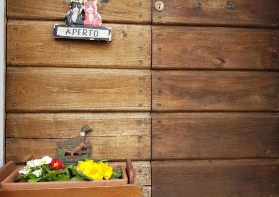Toffia Bed & Breakfast | Monte degli Elci b&b