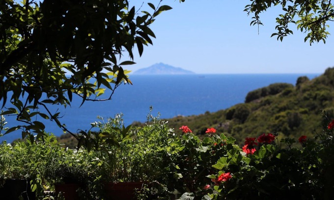 Campo nell'Elba House | Montecristo two-room apartment.Terrace
