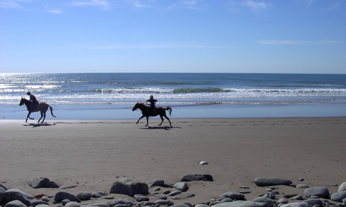 East Lawrencetown House | Moonlight Beach Suites