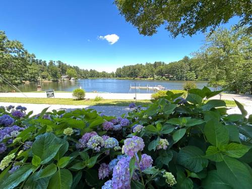 Valley Hill Apartment | Mountain Lake Cottages