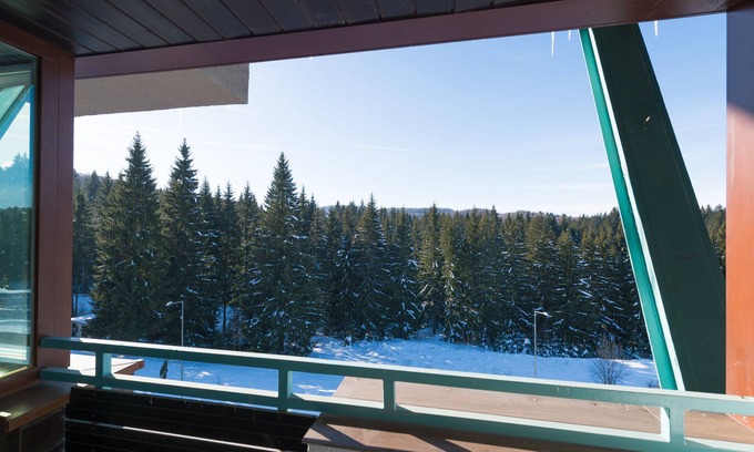 Poiana Brasov Apartment | Mountain retreat in the Carpathians