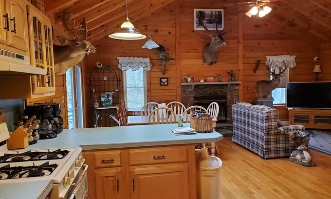 Equinunk House | Mountain sanctuary. 3 bedroom country getaway in the Poconos. 18+ acres