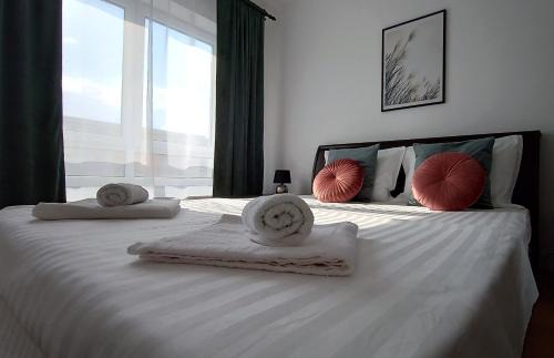 Selimbar Apartment | Mountain View Sibiu