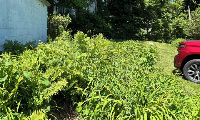 Downtown Rochester House | Ms P Place