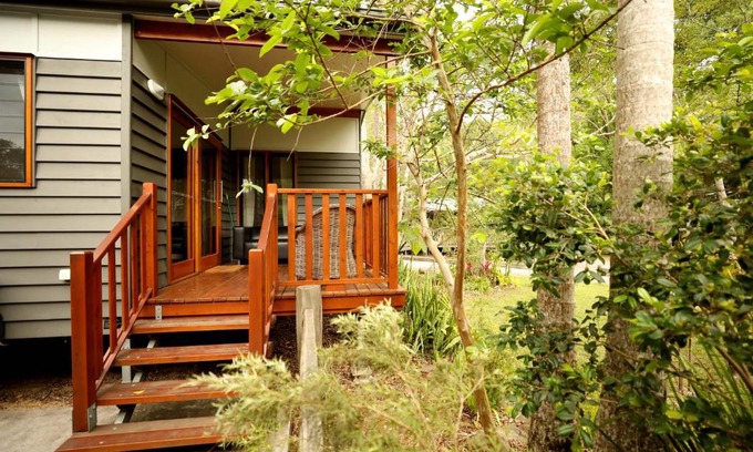 Mount Warning Other | Mt Warning Rainforest Park