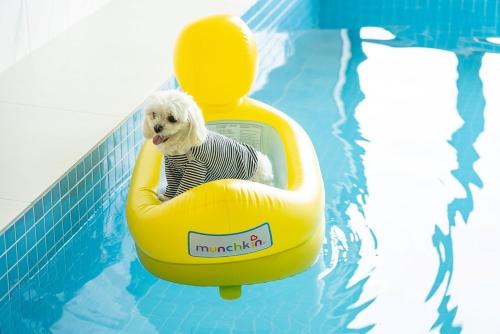 Paeksajang House | Mungs Club Pet friendly Pool Villa