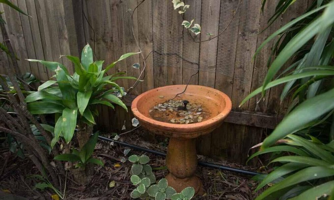 Murwillumbah Hotel | Murwillumbah Motor Inn