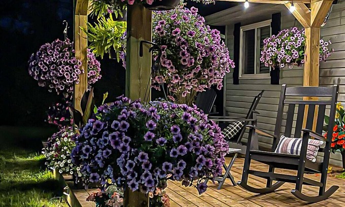 Dartmouth House | Musician's East Coast Bungalow - 10 mins to Downtown