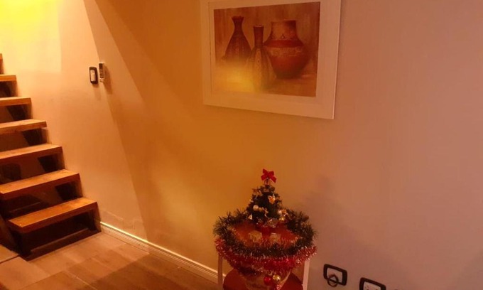 Mendoza City Center Apartment | Mystical wine aparment