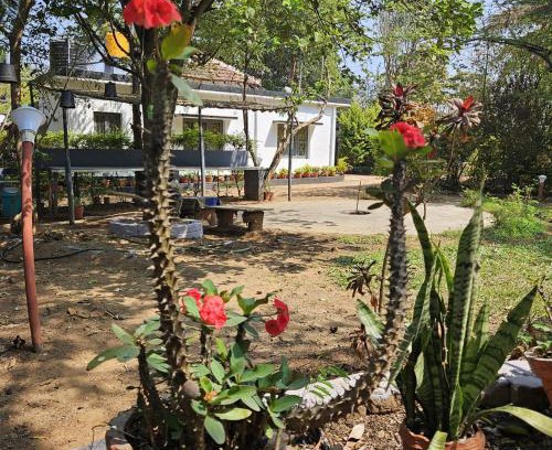 Piriyapatna House | Mysticgreens Home Stay
