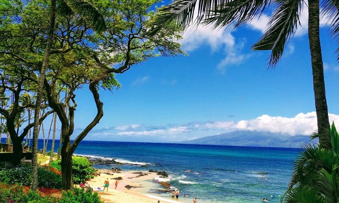 Napili Apartment | Napili Bay Resort #210 - Beachfront Corner Unit - Ocean View - Wi-Fi