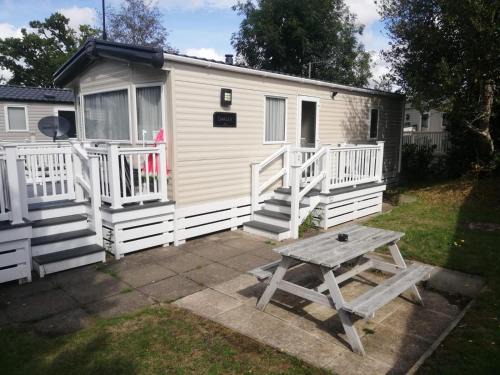 Ringwood Other | narcissus