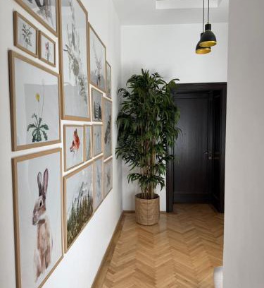 Brasov City Centre Apartment | Nature-Inspired Stay in Piata Sfatului Brasov