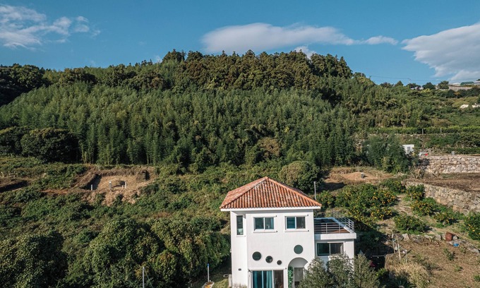 Seogwipo City House | Nature-Lover’s Jeju Escape, Private Forest Stay with Seasonal Blooms & Skies