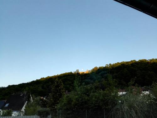 Bad Duerkheim Apartment | Naturnahe FeWo in Bad Dürkheim-Hausen