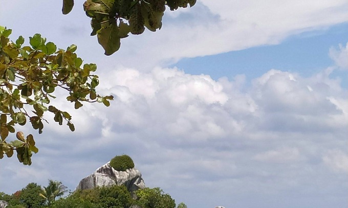 San Leandro House | Near Zoo, Arena, and OAK Airport !