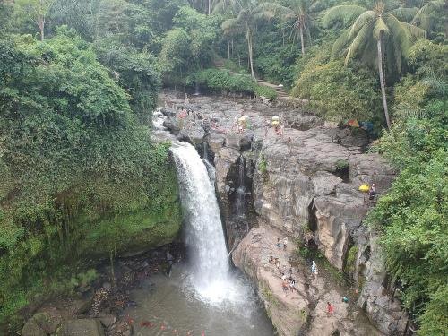 Saba House | Neny's Homestay