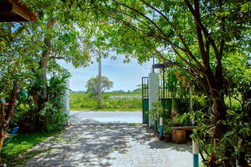 Debarawewa Hotel | New Cormorant Lake Resort & Yala Safari Place