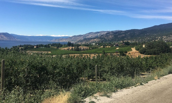 Okanagan-Similkameen House | NEW Heart of Wine Country Acreage. Private, Spacious, Clean. Ideal Okanagan Stay