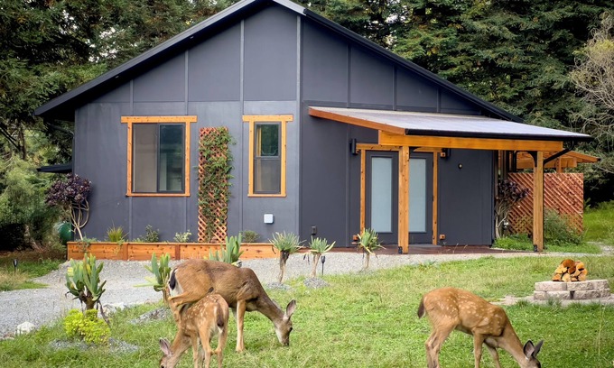 Pacific House | New, modern, close to town, country-feel