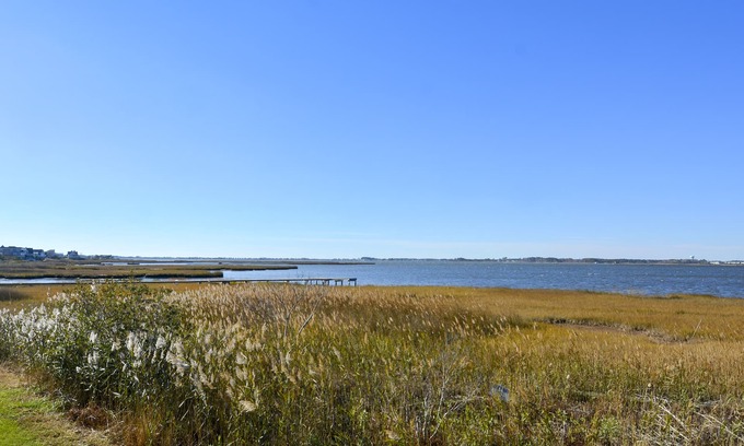 Fenwick Island House | *NEW RENTAL* Beautiful bay sunsets, pool, and 1 block to private beach access