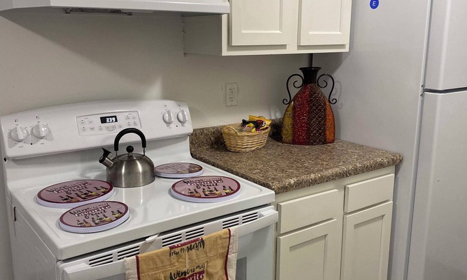 East Lansing Apartment | Newly Remodeled and Cozy Apartment close to MSU, Hospitals, and Entertainment!