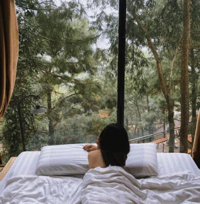 Soc Son Apartment | Nhà Gỗ Rừng Thông