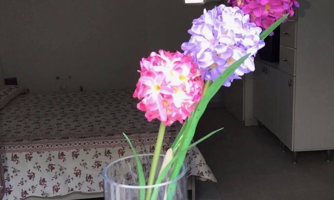 San Nicola Arcella House | Nice apartment San Nicola Arcella