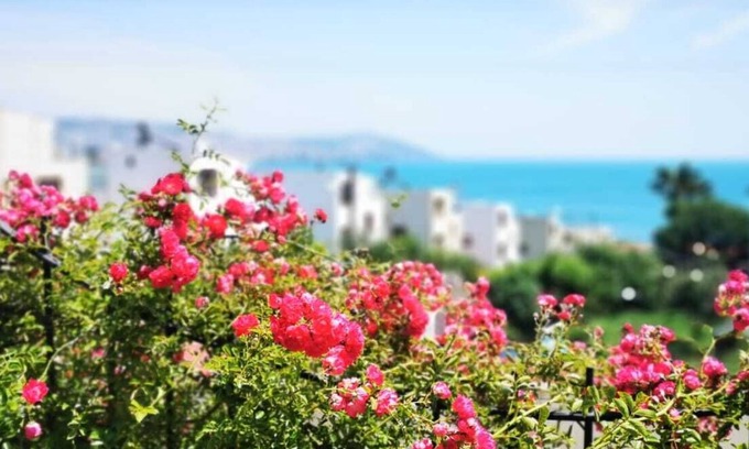 Sinop Hotel | No57 Suites