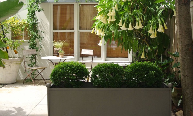 Audubon Cottage | Nola Cottage - Safe, Convenient Area/Sleeps 3/Brand New Bath/Walk To Tulane