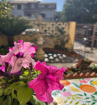 Vita House | Nonna Ciccina’s House