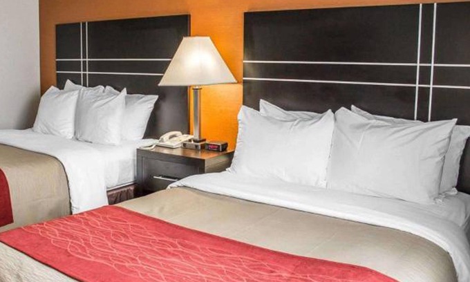 Columbus Hotel | Norwood Inn & Suites North Conference Center