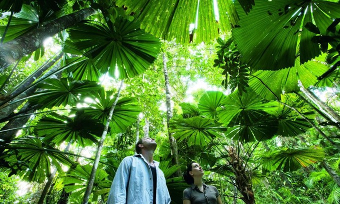Manunda Resort | NRMA Cairns Holiday Park