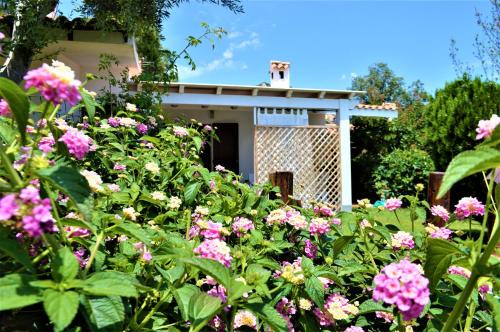 Costa Rei House | Nuova Valmar Trilo Mimosa