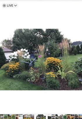 Jonquiere House | Oasis de la rivière