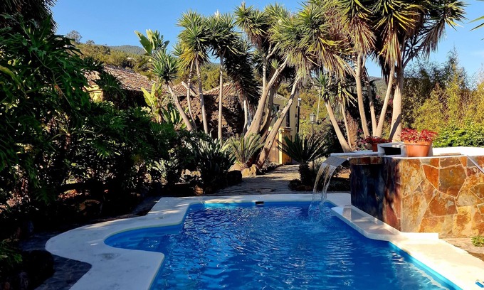 Icod de los Vinos Condo | Oasis Hill Botanical Garden