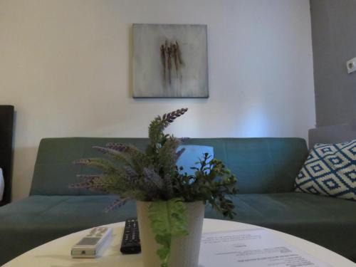 Agios Pavlos Apartment | Oasis One - City Garden Studio - Easy Parking & Walk to Center - 300m from University