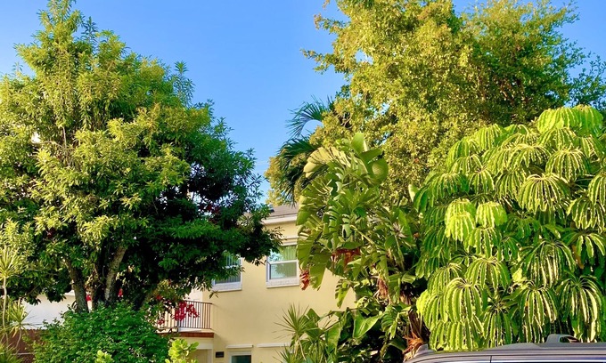 Southwest Apartment | Ocean Breeze - Renovated 3bd/2ba (+Private Patio & Parking)