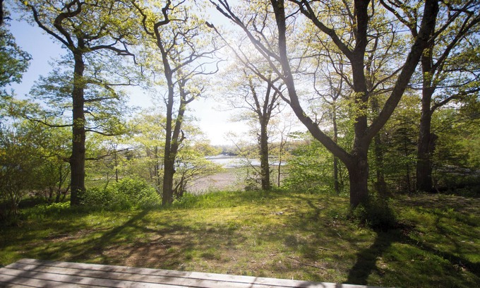 Yarmouth County House | Ocean cottage nestled amongst tall oak trees, pet friendly.