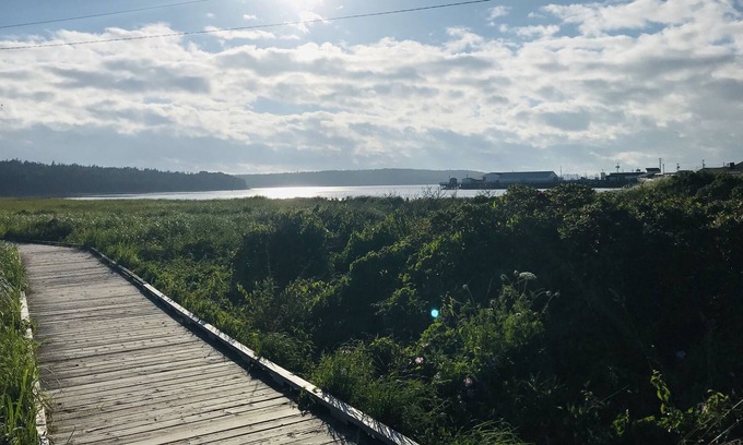 Eastern Passage House | Ocean views, walking distance to the ocean, the boardwalk, pier.