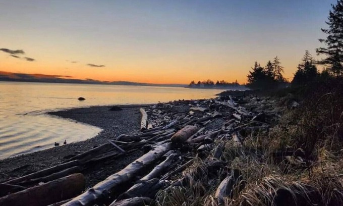 Campbell River House | Oceanfront Central Seawalk Location | Patio, BBQ