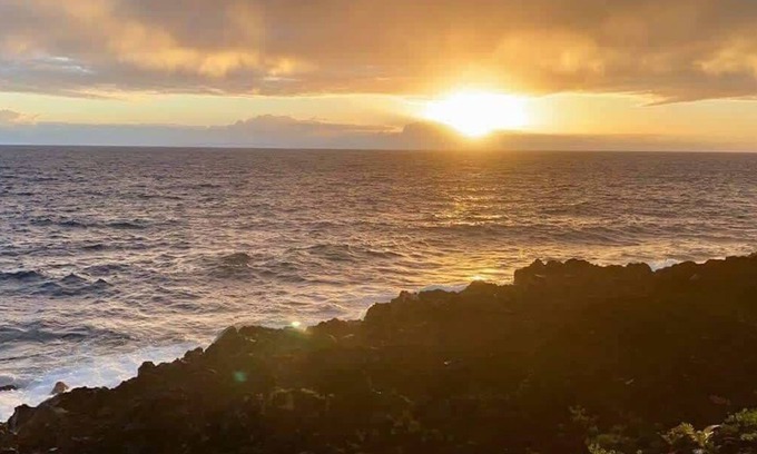 Kapoho Apartment | Oceanfront studio see whales and dolphins