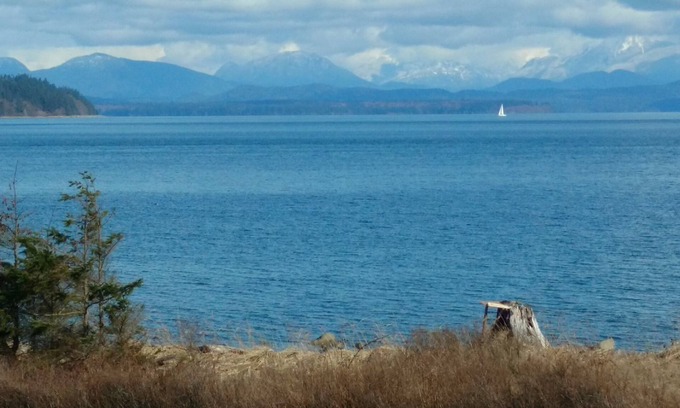 Campbell River House | Oceanview Suite, private patio and entrance - right across from the beach!