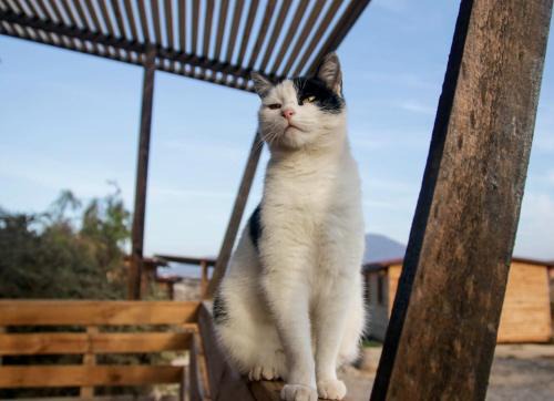 Coquimbo House | Ocho Aguilas Eco Lodge