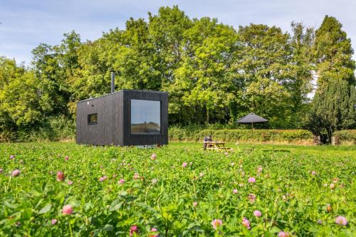 Plush House | Off-grid, Eco Tiny Home Nestled In Nature